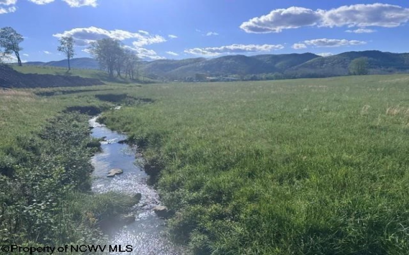 TBD Shaffer's Run Road, Mill Creek, West Virginia 26280, ,Lots/land,For Sale,Shaffer's Run,10165165
