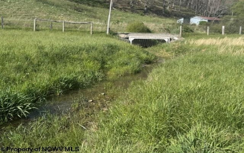TBD Shaffer's Run Road, Mill Creek, West Virginia 26280, ,Lots/land,For Sale,Shaffer's Run,10165165