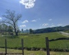TBD Shaffer's Run Road, Mill Creek, West Virginia 26280, ,Lots/land,For Sale,Shaffer's Run,10165165