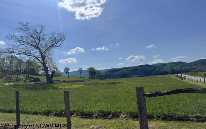 TBD Shaffer's Run Road, Mill Creek, West Virginia 26280, ,Lots/land,For Sale,Shaffer's Run,10165165