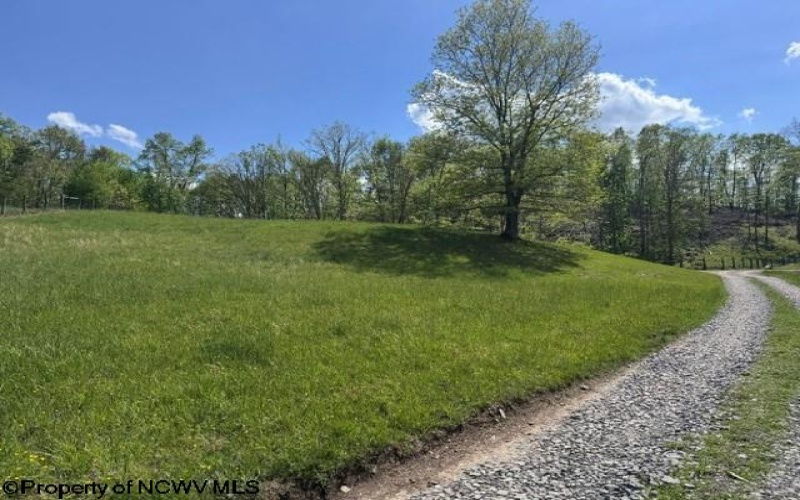 TBD Shaffer's Run Road, Mill Creek, West Virginia 26280, ,Lots/land,For Sale,Shaffer's Run,10165165