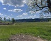 TBD Shaffer's Run Road, Mill Creek, West Virginia 26280, ,Lots/land,For Sale,Shaffer's Run,10165165