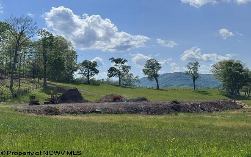 TBD Shaffer's Run Road, Mill Creek, West Virginia 26280, ,Lots/land,For Sale,Shaffer's Run,10165165