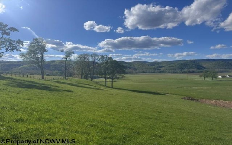 TBD Shaffer's Run Road, Mill Creek, West Virginia 26280, ,Lots/land,For Sale,Shaffer's Run,10165165