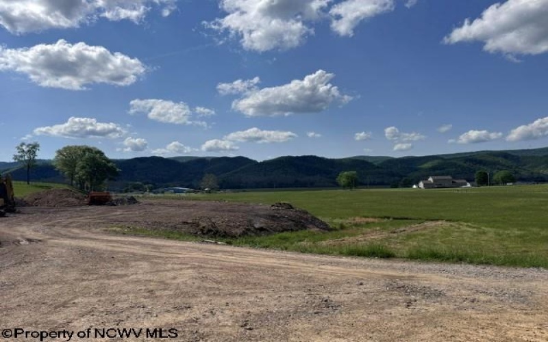 TBD Shaffer's Run Road, Mill Creek, West Virginia 26280, ,Lots/land,For Sale,Shaffer's Run,10165165