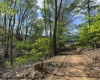 TBD Shaffer's Run Road, Mill Creek, West Virginia 26280, ,Lots/land,For Sale,Shaffer's Run,10165165