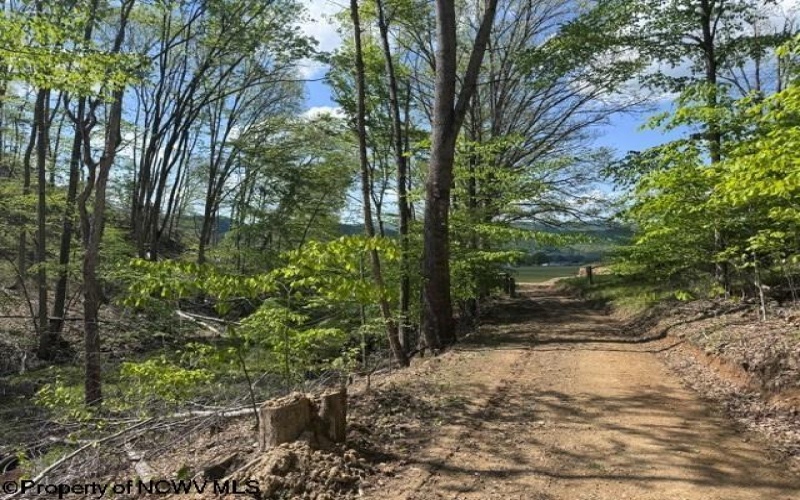 TBD Shaffer's Run Road, Mill Creek, West Virginia 26280, ,Lots/land,For Sale,Shaffer's Run,10165165