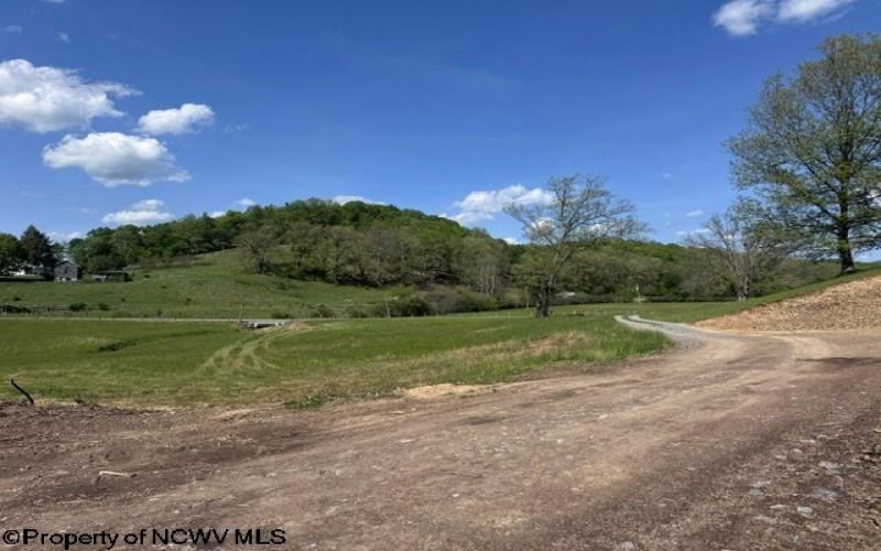 TBD Shaffer's Run Road, Mill Creek, West Virginia 26280, ,Lots/land,For Sale,Shaffer's Run,10165165
