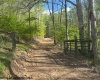 TBD Shaffer's Run Road, Mill Creek, West Virginia 26280, ,Lots/land,For Sale,Shaffer's Run,10165165