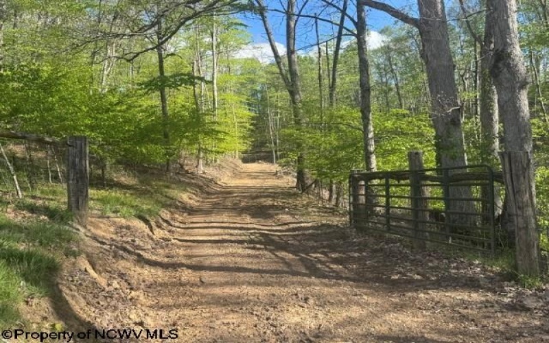 TBD Shaffer's Run Road, Mill Creek, West Virginia 26280, ,Lots/land,For Sale,Shaffer's Run,10165165
