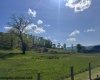 TBD Shaffer's Run Road, Mill Creek, West Virginia 26280, ,Lots/land,For Sale,Shaffer's Run,10165165
