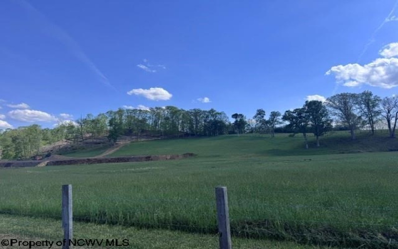 TBD Shaffer's Run Road, Mill Creek, West Virginia 26280, ,Lots/land,For Sale,Shaffer's Run,10165165
