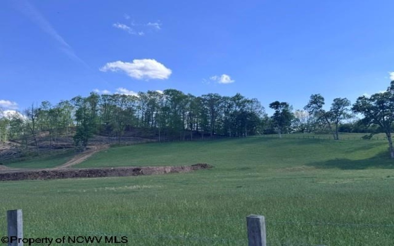 TBD Shaffer's Run Road, Mill Creek, West Virginia 26280, ,Lots/land,For Sale,Shaffer's Run,10165165
