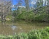 TBD Shaffer's Run Road, Mill Creek, West Virginia 26280, ,Lots/land,For Sale,Shaffer's Run,10165165