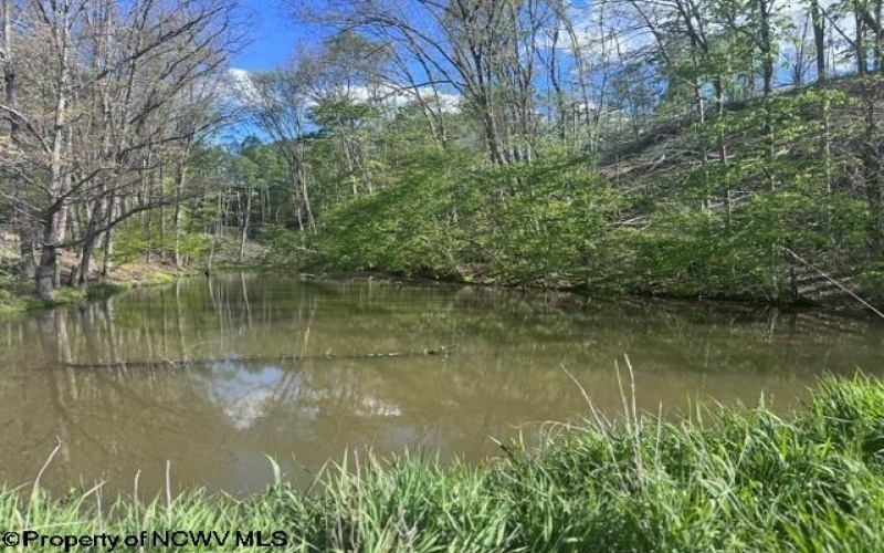 TBD Shaffer's Run Road, Mill Creek, West Virginia 26280, ,Lots/land,For Sale,Shaffer's Run,10165165