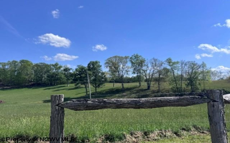 TBD Shaffer's Run Road, Mill Creek, West Virginia 26280, ,Lots/land,For Sale,Shaffer's Run,10165165