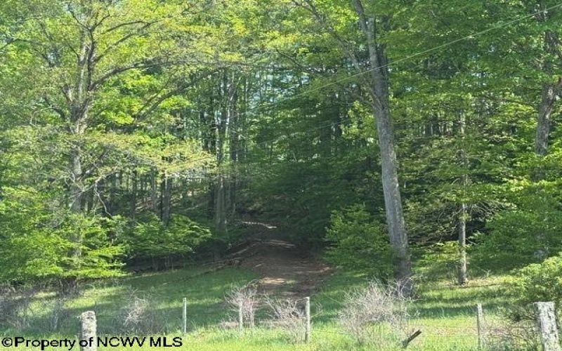 TBD Shaffer's Run Road, Mill Creek, West Virginia 26280, ,Lots/land,For Sale,Shaffer's Run,10165165