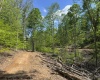TBD Shaffer's Run Road, Mill Creek, West Virginia 26280, ,Lots/land,For Sale,Shaffer's Run,10165165
