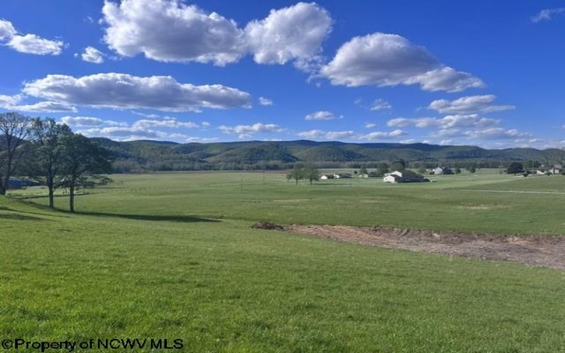 TBD Shaffer's Run Road, Mill Creek, West Virginia 26280, ,Lots/land,For Sale,Shaffer's Run,10165165