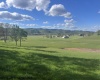 TBD Shaffer's Run Road, Mill Creek, West Virginia 26280, ,Lots/land,For Sale,Shaffer's Run,10165165
