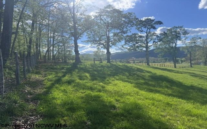 TBD Shaffer's Run Road, Mill Creek, West Virginia 26280, ,Lots/land,For Sale,Shaffer's Run,10165165
