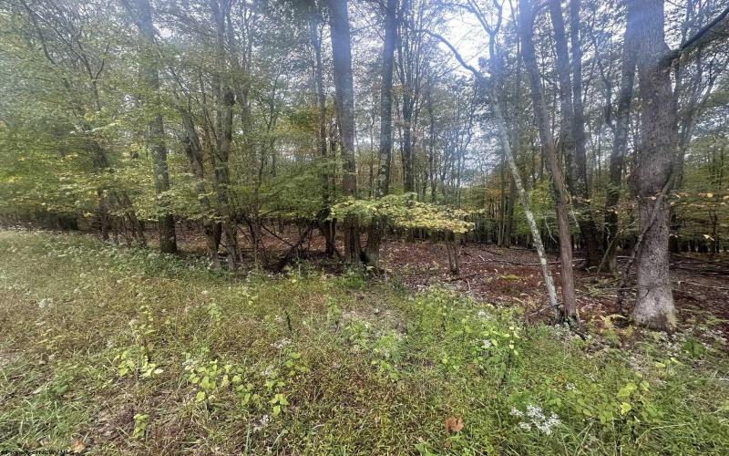 Lots 27 & 28 Alpine Drive, Terra Alta, West Virginia 26764, ,Lots/land,For Sale,Alpine,10161788