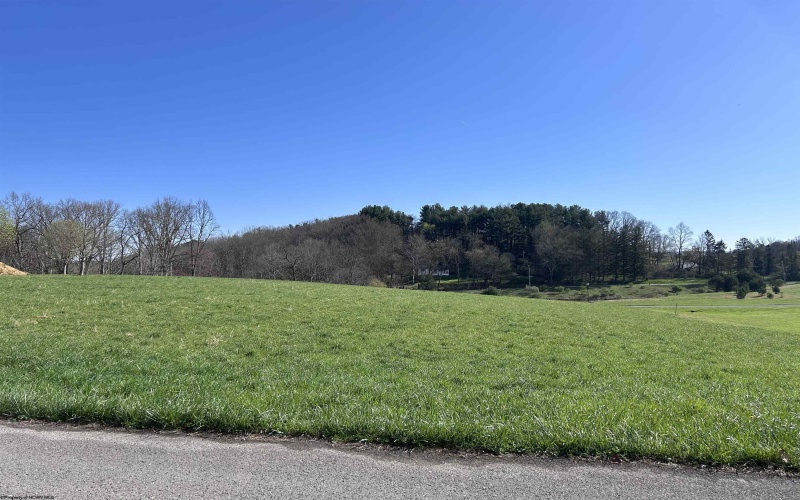 Lot 36 Hayfield Loop, Elkins, West Virginia 26241, ,Lots/land,For Sale,Hayfield,10165161