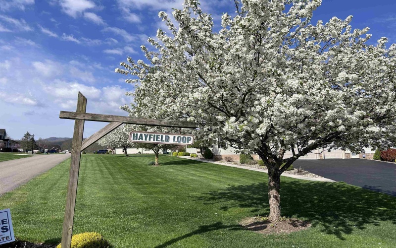 Lot 37 Hayfield Loop, Elkins, West Virginia 26241, ,Lots/land,For Sale,Hayfield,10165162