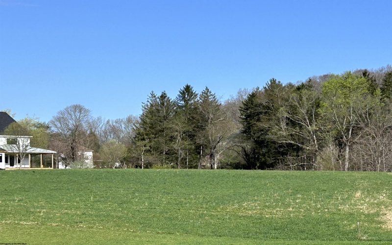 Lot 37 Hayfield Loop, Elkins, West Virginia 26241, ,Lots/land,For Sale,Hayfield,10165162