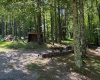 186 Whitetail Road, Glady, West Virginia 26268, 2 Bedrooms Bedrooms, 5 Rooms Rooms,1 BathroomBathrooms,Single Family Detached,For Sale,Whitetail,10165187