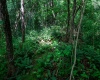 Lot 1 Hecks Run, Rivesville, West Virginia 26588, ,Lots/land,For Sale,Hecks,10165172 Lot 1 Hecks Run, Rivesville, West Virginia 26588, ,Lots/land,For Sale,Hecks,10165172
