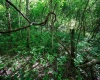 Lot 1 Hecks Run, Rivesville, West Virginia 26588, ,Lots/land,For Sale,Hecks,10165172 Lot 1 Hecks Run, Rivesville, West Virginia 26588, ,Lots/land,For Sale,Hecks,10165172