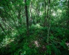 Lot 1 Hecks Run, Rivesville, West Virginia 26588, ,Lots/land,For Sale,Hecks,10165172 Lot 1 Hecks Run, Rivesville, West Virginia 26588, ,Lots/land,For Sale,Hecks,10165172