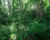 Lot 1 Hecks Run, Rivesville, West Virginia 26588, ,Lots/land,For Sale,Hecks,10165172 Lot 1 Hecks Run, Rivesville, West Virginia 26588, ,Lots/land,For Sale,Hecks,10165172
