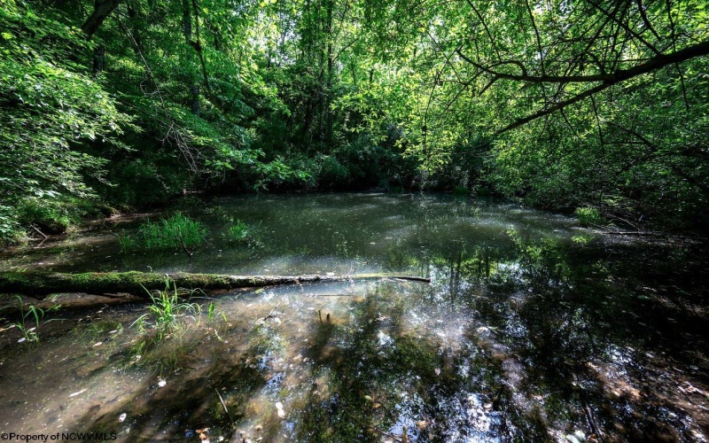Lot 1 Hecks Run, Rivesville, West Virginia 26588, ,Lots/land,For Sale,Hecks,10165172 Lot 1 Hecks Run, Rivesville, West Virginia 26588, ,Lots/land,For Sale,Hecks,10165172