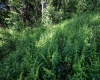 Lot 1 Hecks Run, Rivesville, West Virginia 26588, ,Lots/land,For Sale,Hecks,10165172 Lot 1 Hecks Run, Rivesville, West Virginia 26588, ,Lots/land,For Sale,Hecks,10165172