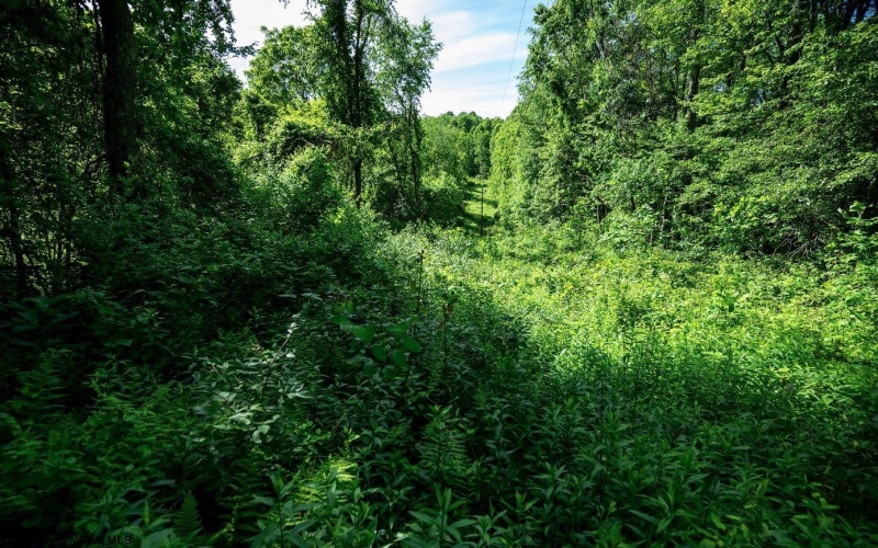 Lot 1 Hecks Run, Rivesville, West Virginia 26588, ,Lots/land,For Sale,Hecks,10165172 Lot 1 Hecks Run, Rivesville, West Virginia 26588, ,Lots/land,For Sale,Hecks,10165172