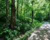Lot 1 Hecks Run, Rivesville, West Virginia 26588, ,Lots/land,For Sale,Hecks,10165172 Lot 1 Hecks Run, Rivesville, West Virginia 26588, ,Lots/land,For Sale,Hecks,10165172