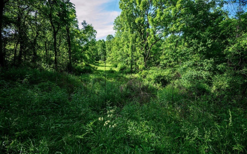 Lot 1 Hecks Run, Rivesville, West Virginia 26588, ,Lots/land,For Sale,Hecks,10165172 Lot 1 Hecks Run, Rivesville, West Virginia 26588, ,Lots/land,For Sale,Hecks,10165172