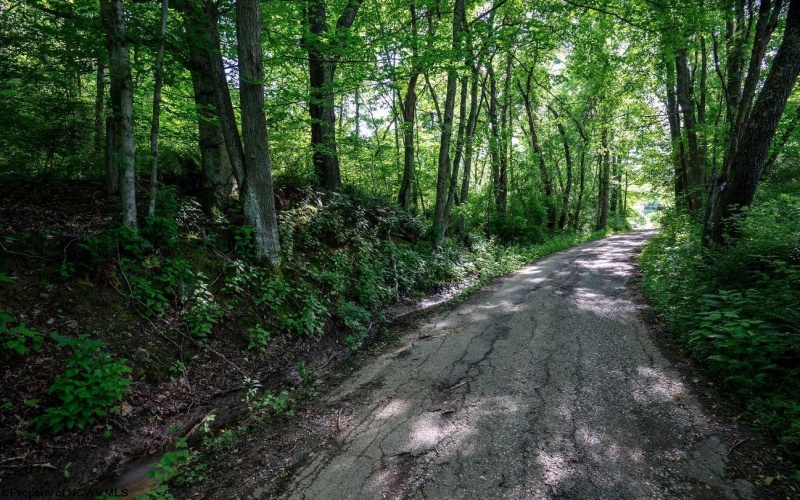 Lot 1 Hecks Run, Rivesville, West Virginia 26588, ,Lots/land,For Sale,Hecks,10165172 Lot 1 Hecks Run, Rivesville, West Virginia 26588, ,Lots/land,For Sale,Hecks,10165172