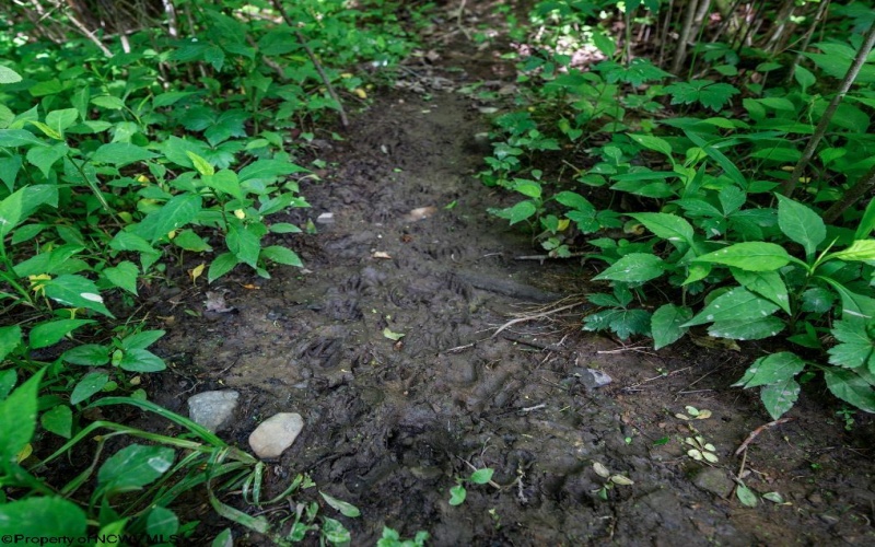 Lot 1 Hecks Run, Rivesville, West Virginia 26588, ,Lots/land,For Sale,Hecks,10165172 Lot 1 Hecks Run, Rivesville, West Virginia 26588, ,Lots/land,For Sale,Hecks,10165172