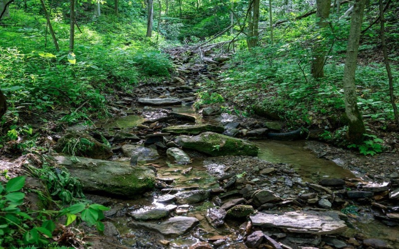 Lot 1 Hecks Run, Rivesville, West Virginia 26588, ,Lots/land,For Sale,Hecks,10165172 Lot 1 Hecks Run, Rivesville, West Virginia 26588, ,Lots/land,For Sale,Hecks,10165172