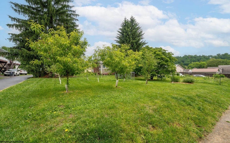 240 Dewey Street, Morgantown, West Virginia 26501, 4 Bedrooms Bedrooms, 10 Rooms Rooms,2 BathroomsBathrooms,Single Family Detached,For Sale,Dewey,10165174