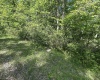 Lot 65 Pine Drive, Terra Alta, West Virginia 26764, ,Lots/land,For Sale,Pine,10165197 Lot 65 Pine Drive, Terra Alta, West Virginia 26764, ,Lots/land,For Sale,Pine,10165197