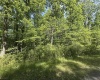 Lot 65 Pine Drive, Terra Alta, West Virginia 26764, ,Lots/land,For Sale,Pine,10165197 Lot 65 Pine Drive, Terra Alta, West Virginia 26764, ,Lots/land,For Sale,Pine,10165197