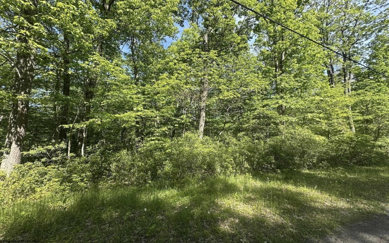 Lot 65 Pine Drive, Terra Alta, West Virginia 26764, ,Lots/land,For Sale,Pine,10165197 Lot 65 Pine Drive, Terra Alta, West Virginia 26764, ,Lots/land,For Sale,Pine,10165197