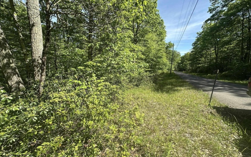 Lot 65 Pine Drive, Terra Alta, West Virginia 26764, ,Lots/land,For Sale,Pine,10165197 Lot 65 Pine Drive, Terra Alta, West Virginia 26764, ,Lots/land,For Sale,Pine,10165197