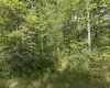 Lot 65 Pine Drive, Terra Alta, West Virginia 26764, ,Lots/land,For Sale,Pine,10165197 Lot 65 Pine Drive, Terra Alta, West Virginia 26764, ,Lots/land,For Sale,Pine,10165197