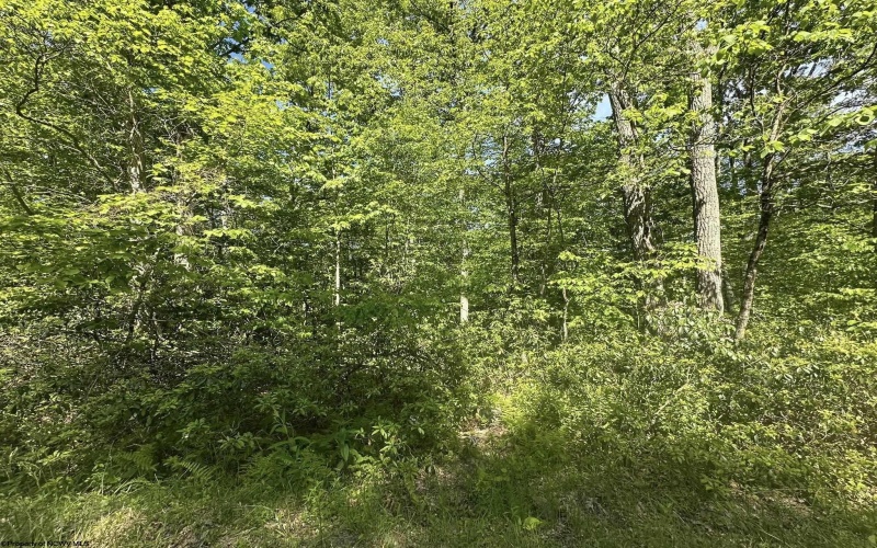 Lot 65 Pine Drive, Terra Alta, West Virginia 26764, ,Lots/land,For Sale,Pine,10165197 Lot 65 Pine Drive, Terra Alta, West Virginia 26764, ,Lots/land,For Sale,Pine,10165197