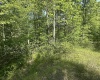 Lot 65 Pine Drive, Terra Alta, West Virginia 26764, ,Lots/land,For Sale,Pine,10165197 Lot 65 Pine Drive, Terra Alta, West Virginia 26764, ,Lots/land,For Sale,Pine,10165197